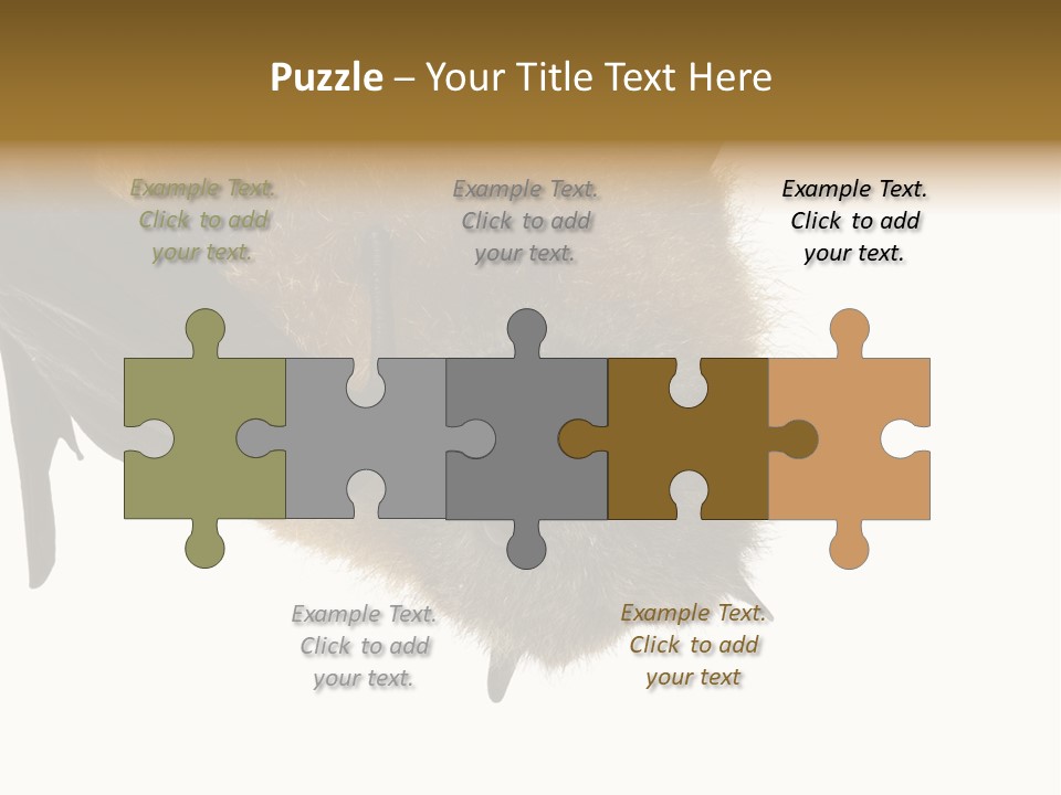 Wild Bat Black PowerPoint Template