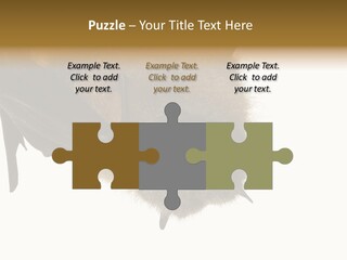 Wild Bat Black PowerPoint Template