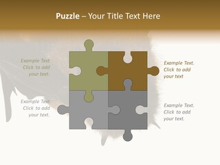 Wild Bat Black PowerPoint Template