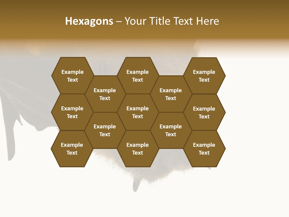 Wild Bat Black PowerPoint Template