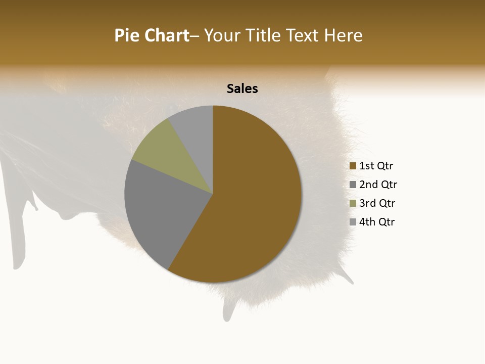 Wild Bat Black PowerPoint Template