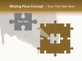 Wild Bat Black PowerPoint Template