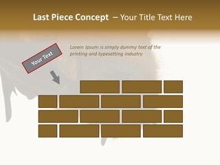 Wild Bat Black PowerPoint Template