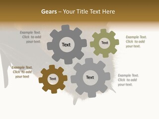 Wild Bat Black PowerPoint Template