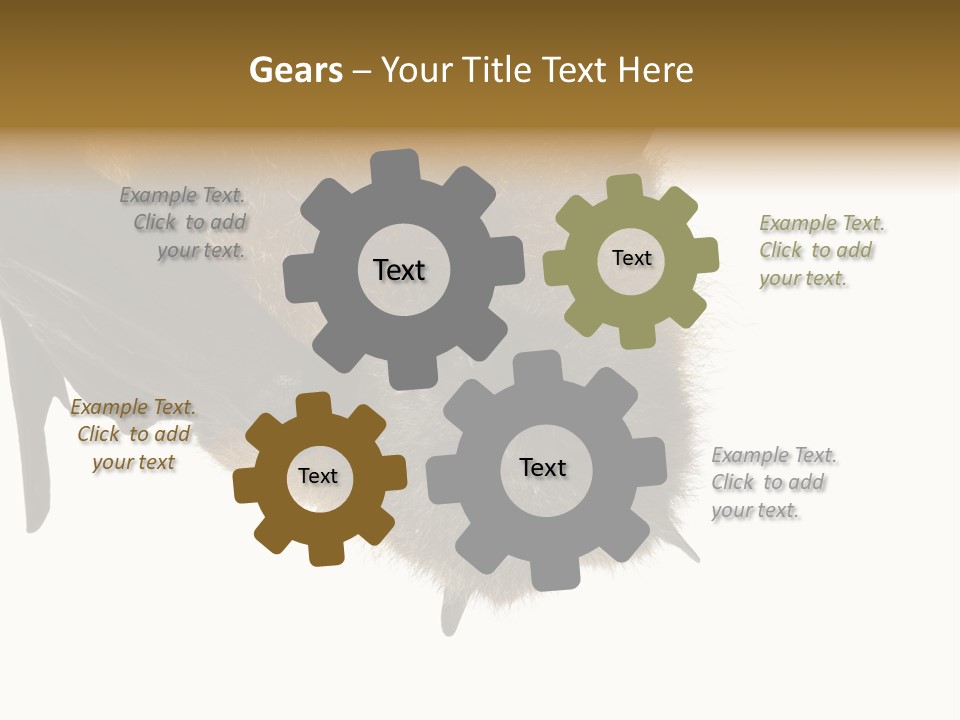 Wild Bat Black PowerPoint Template