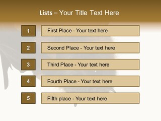 Wild Bat Black PowerPoint Template