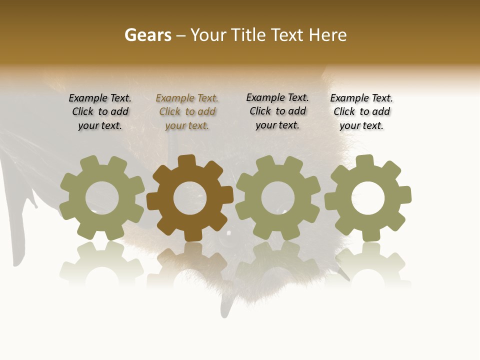 Wild Bat Black PowerPoint Template