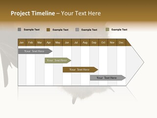 Wild Bat Black PowerPoint Template