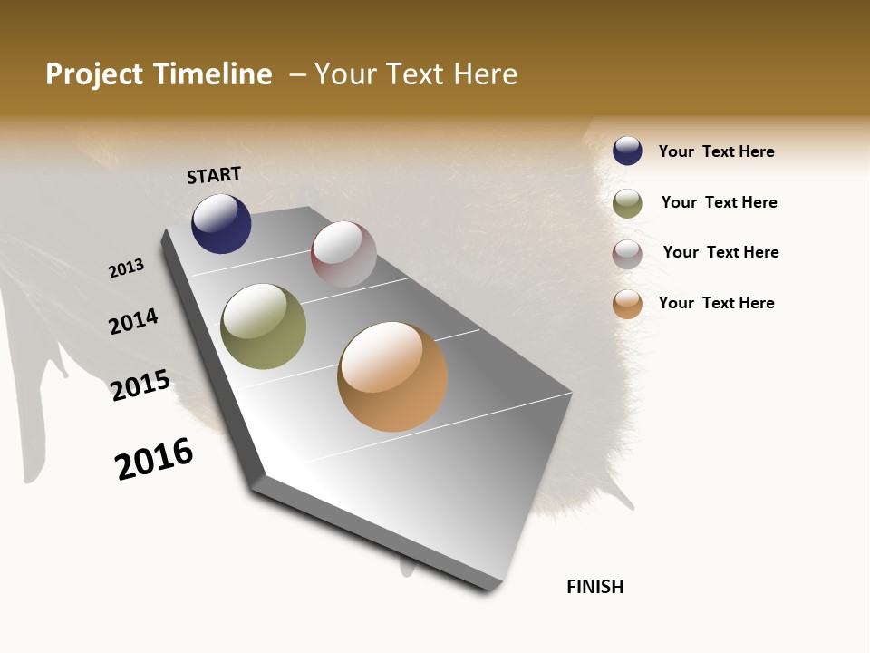 Wild Bat Black PowerPoint Template