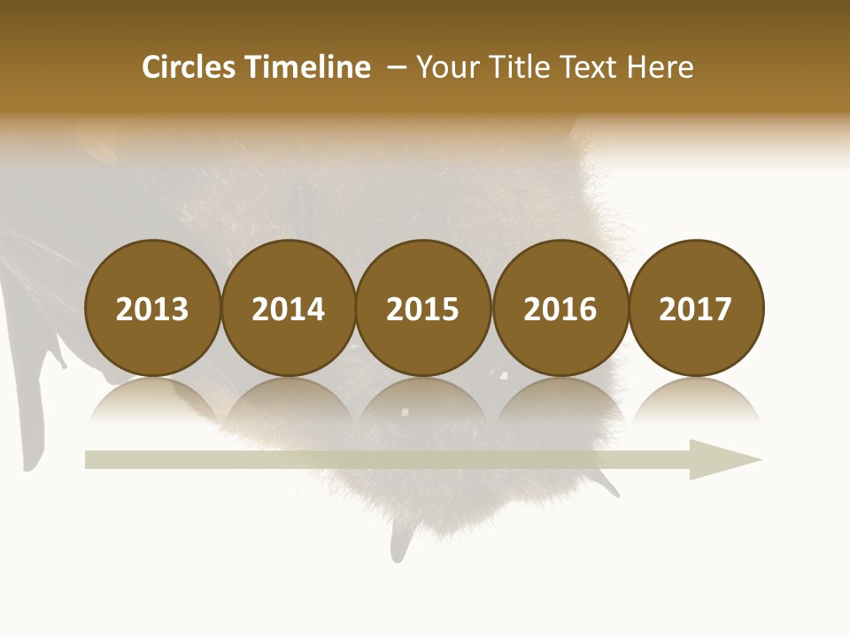 Wild Bat Black PowerPoint Template