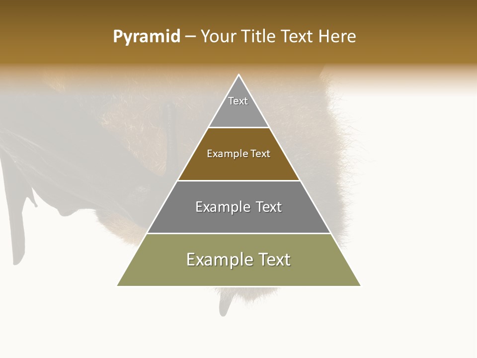 Wild Bat Black PowerPoint Template