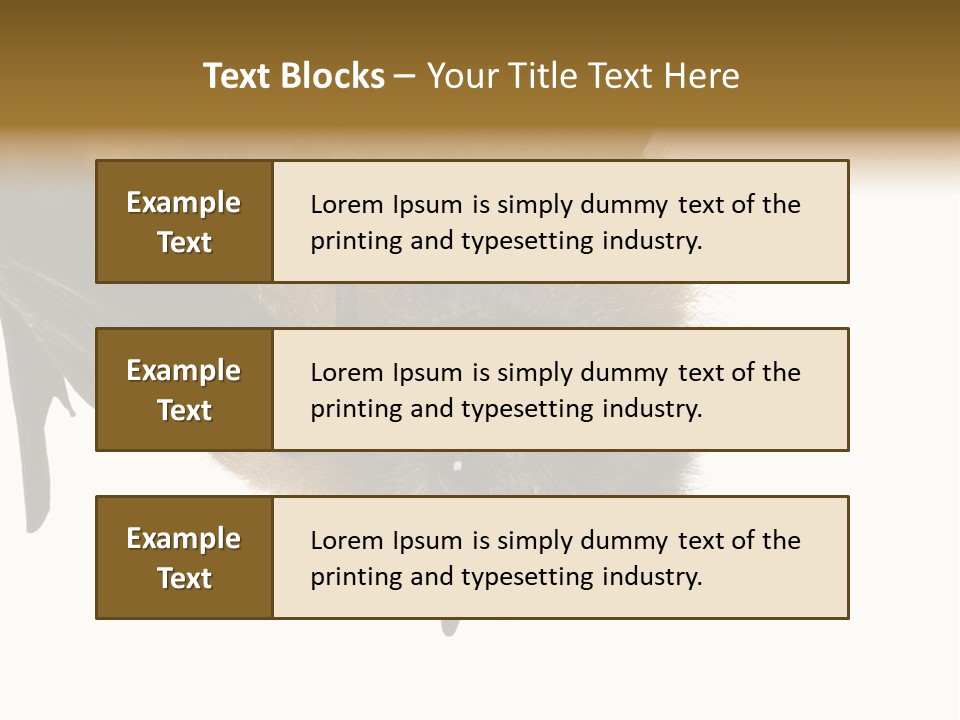 Wild Bat Black PowerPoint Template