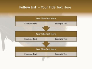 Wild Bat Black PowerPoint Template