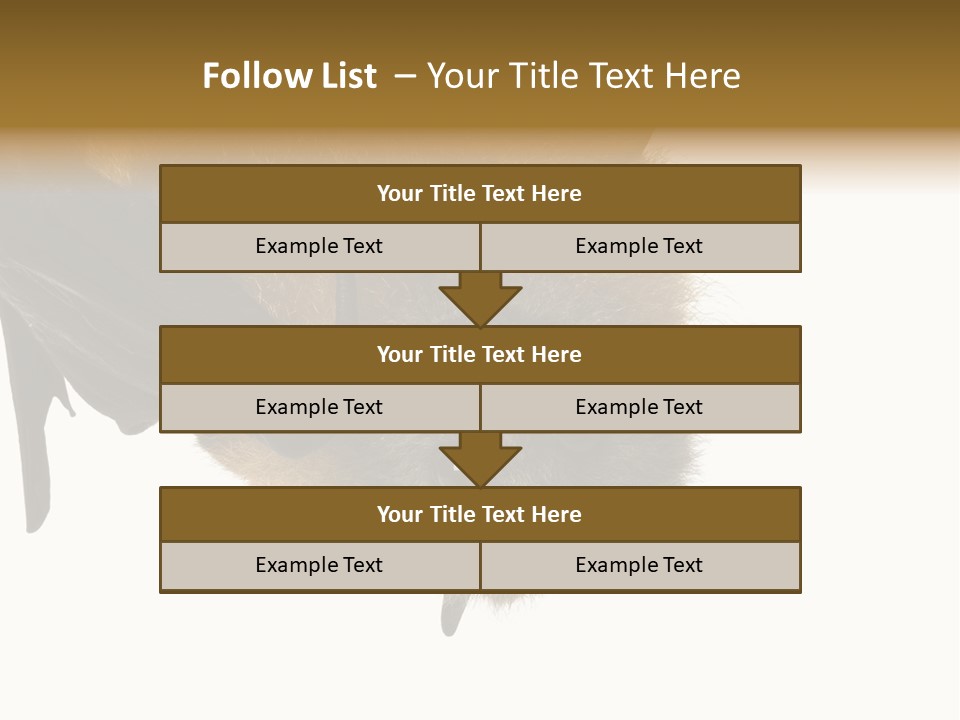 Wild Bat Black PowerPoint Template