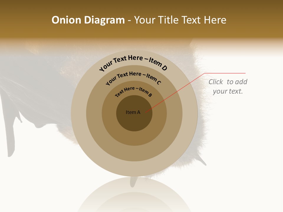 Wild Bat Black PowerPoint Template