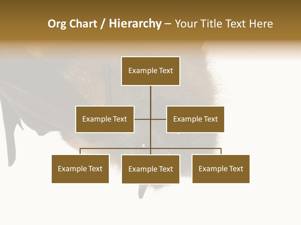 Wild Bat Black PowerPoint Template