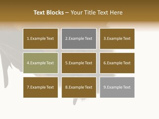 Wild Bat Black PowerPoint Template