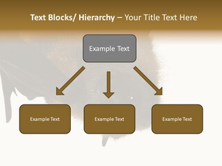 Wild Bat Black PowerPoint Template