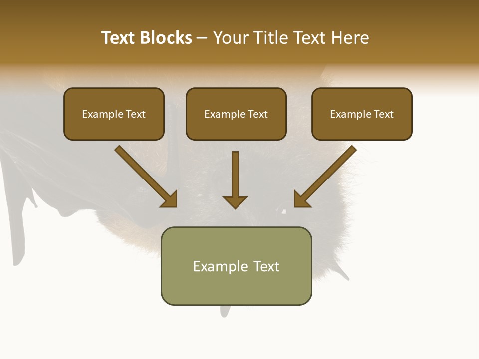 Wild Bat Black PowerPoint Template