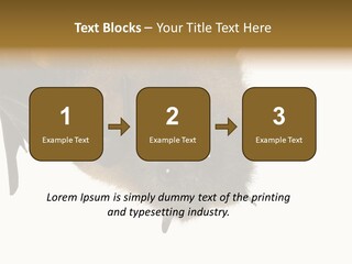 Wild Bat Black PowerPoint Template