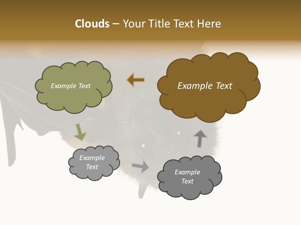 Wild Bat Black PowerPoint Template