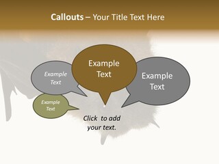 Wild Bat Black PowerPoint Template