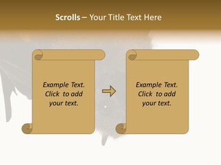 Wild Bat Black PowerPoint Template
