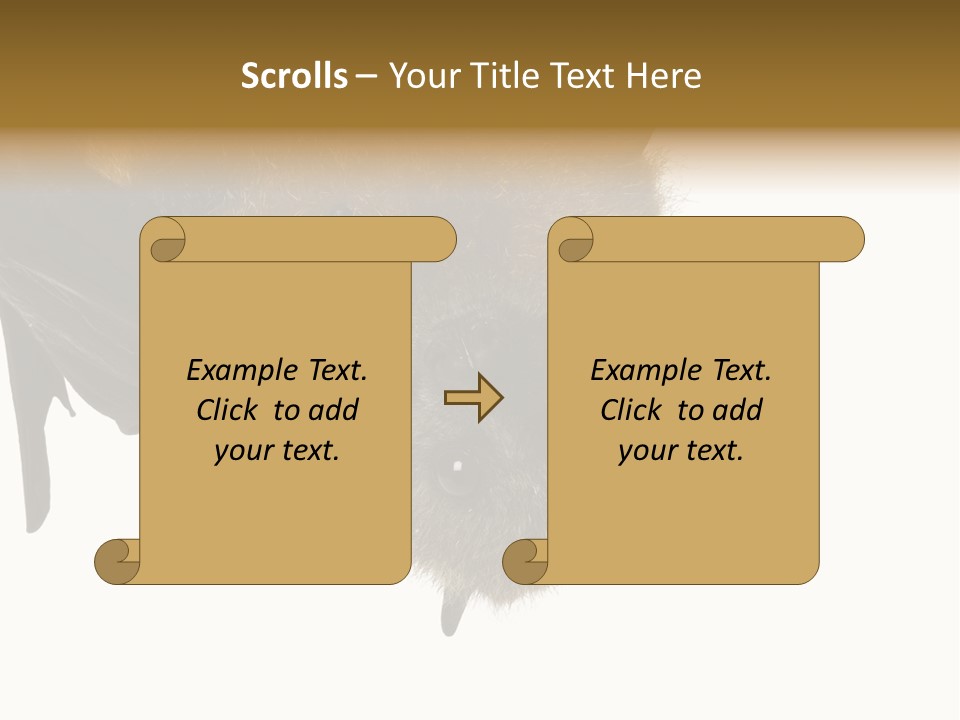 Wild Bat Black PowerPoint Template