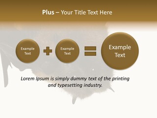 Wild Bat Black PowerPoint Template