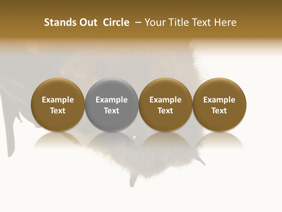 Wild Bat Black PowerPoint Template