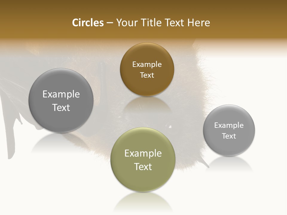 Wild Bat Black PowerPoint Template