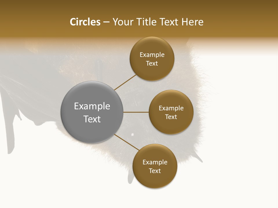 Wild Bat Black PowerPoint Template