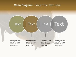 Wild Bat Black PowerPoint Template