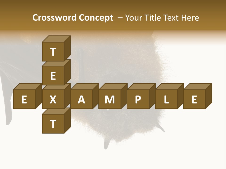 Wild Bat Black PowerPoint Template
