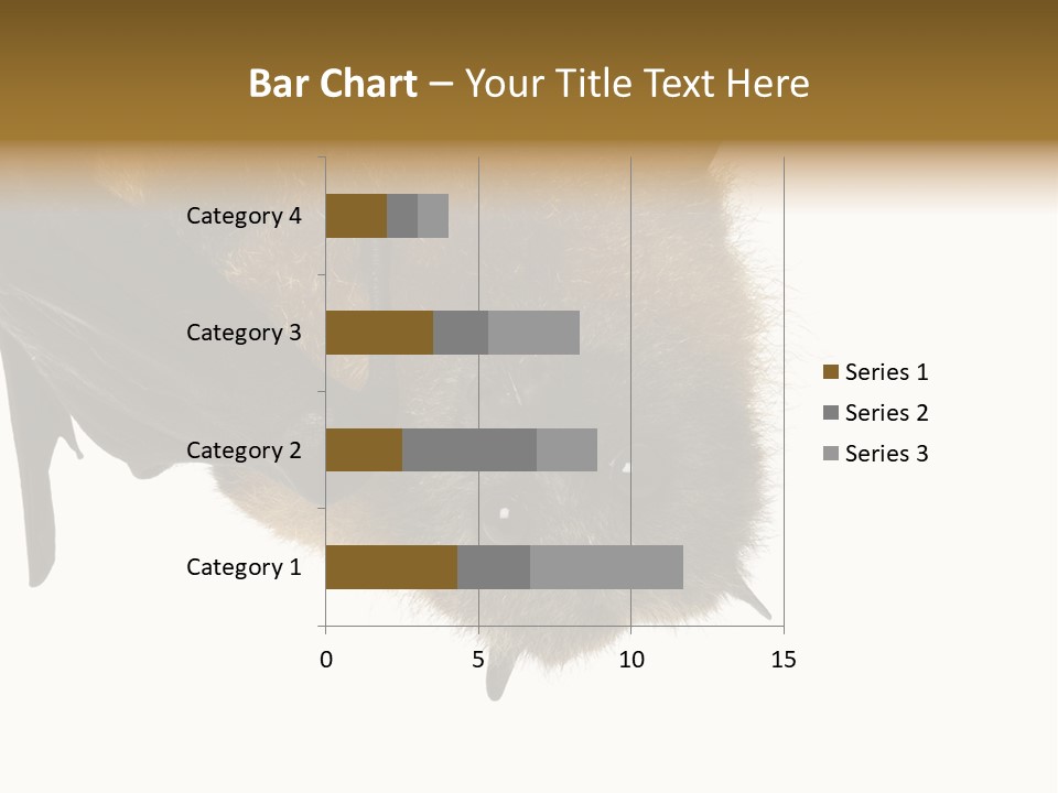 Wild Bat Black PowerPoint Template