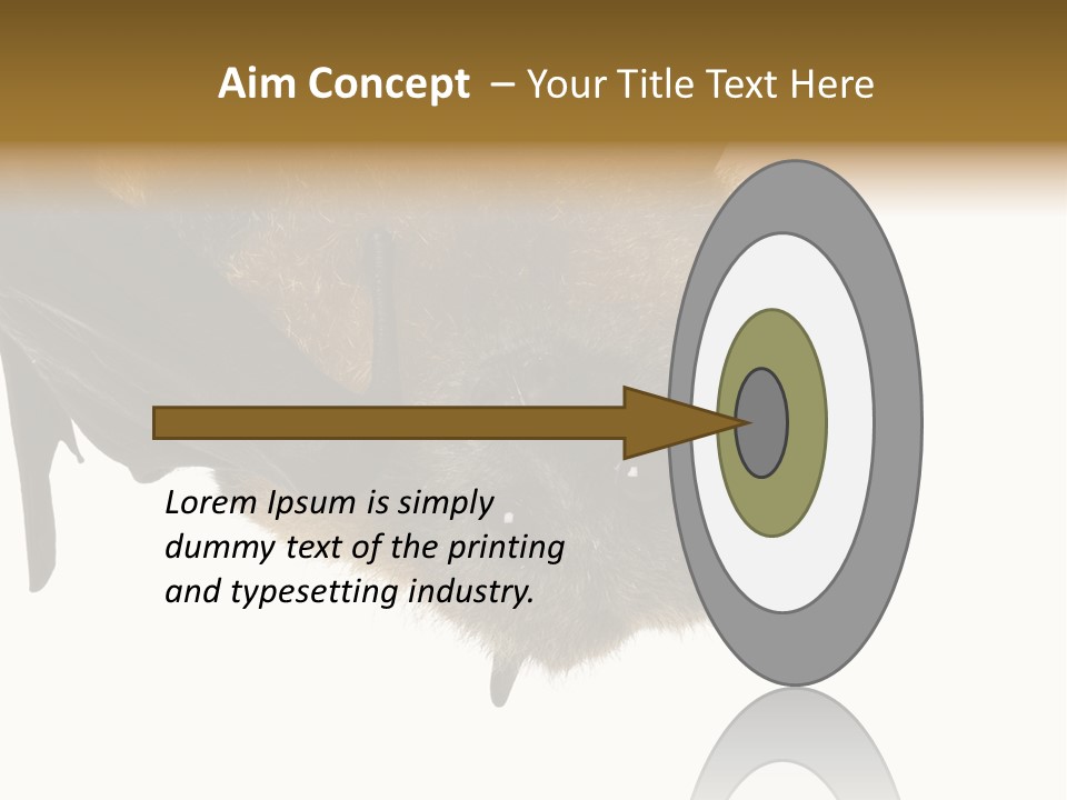 Wild Bat Black PowerPoint Template