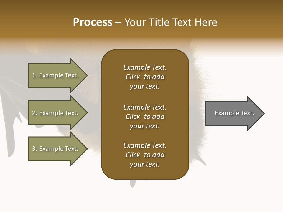 Wild Bat Black PowerPoint Template
