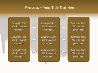 Wild Bat Black PowerPoint Template