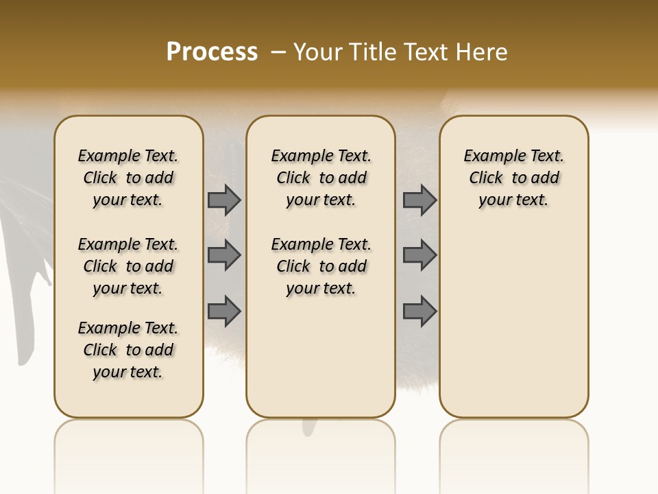 Wild Bat Black PowerPoint Template