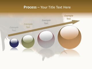 Wild Bat Black PowerPoint Template