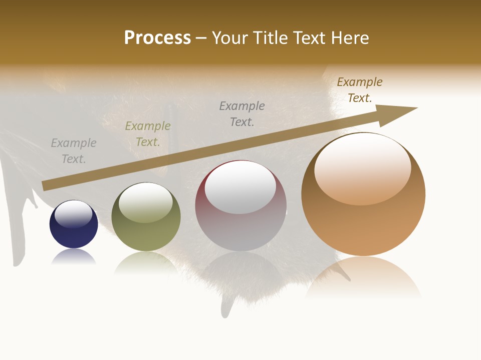 Wild Bat Black PowerPoint Template