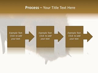 Wild Bat Black PowerPoint Template