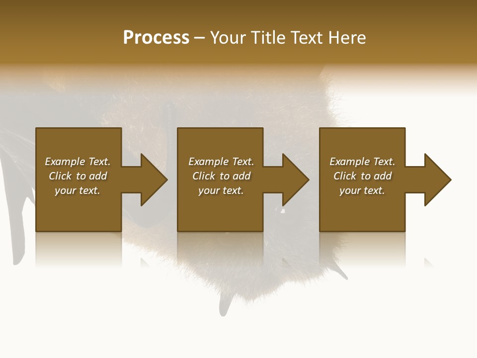 Wild Bat Black PowerPoint Template