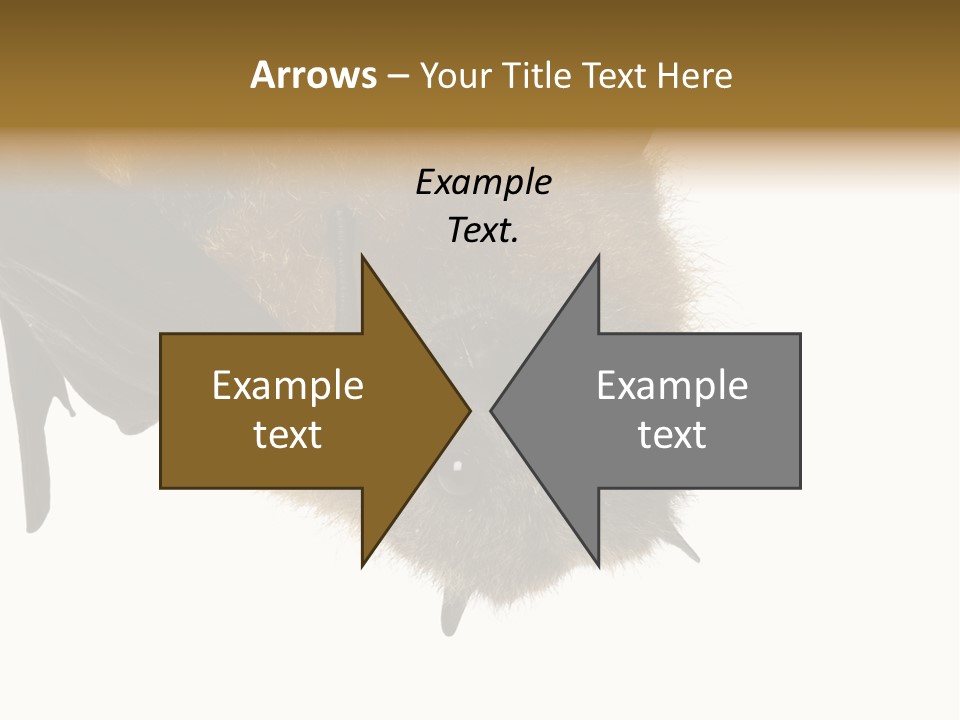 Wild Bat Black PowerPoint Template