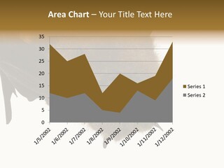 Wild Bat Black PowerPoint Template