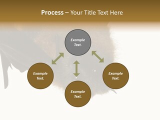 Wild Bat Black PowerPoint Template