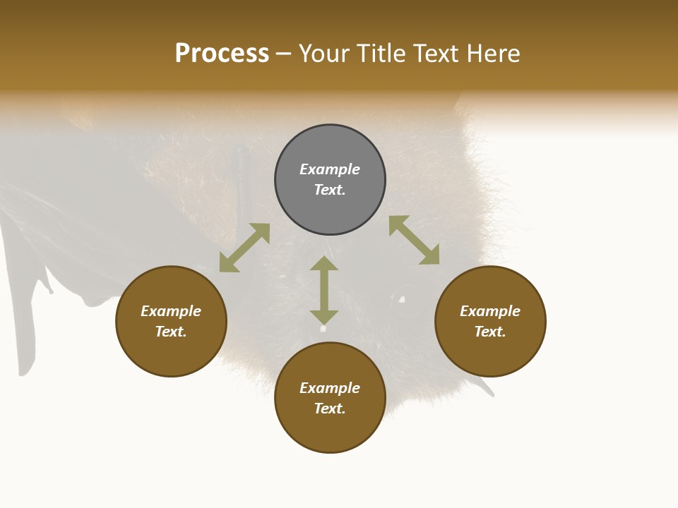 Wild Bat Black PowerPoint Template