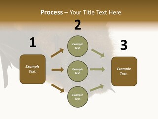 Wild Bat Black PowerPoint Template