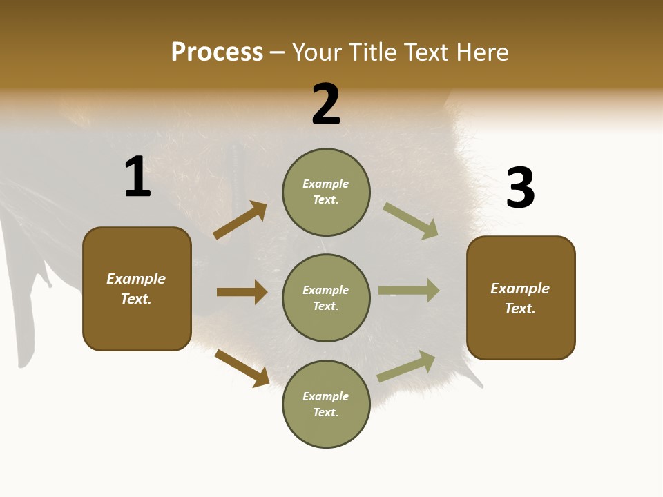 Wild Bat Black PowerPoint Template