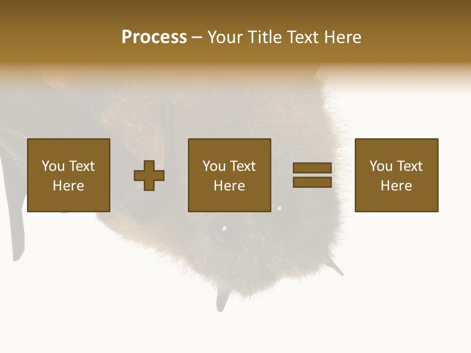 Wild Bat Black PowerPoint Template